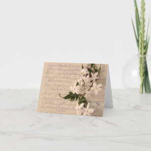 Cartão jasmine on old script handwriting notecard