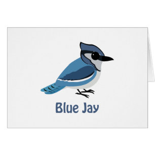 Cartão Jay azul bonito