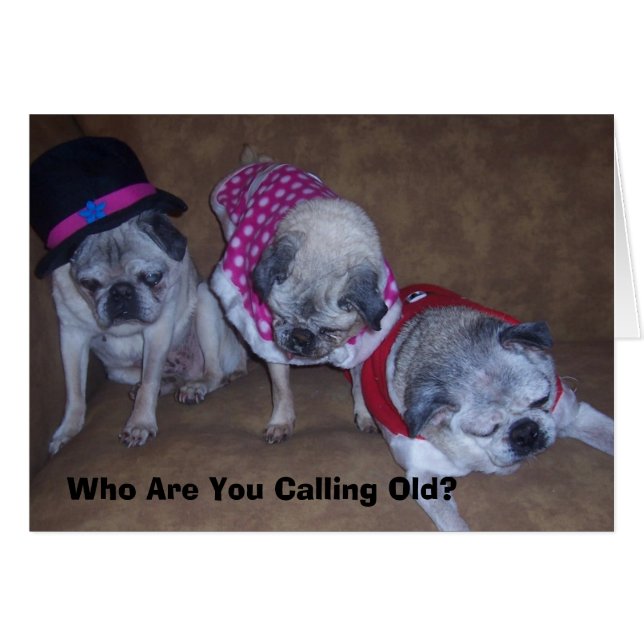 Cartão Jeff, Gina, Avô, A Quem Você Chama... (Frente Horizontal)