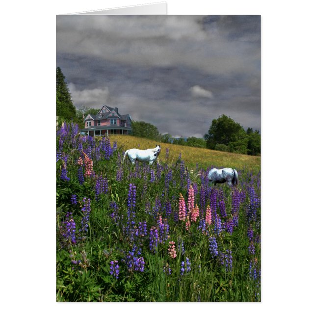 Cartão Jefferson Lupine Mindscape (Frente)