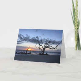 Cartão jekyll island sunrise card #1 (blank inside)