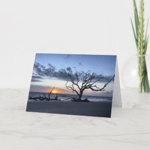 Cartão jekyll island sunrise card #1 (blank inside)