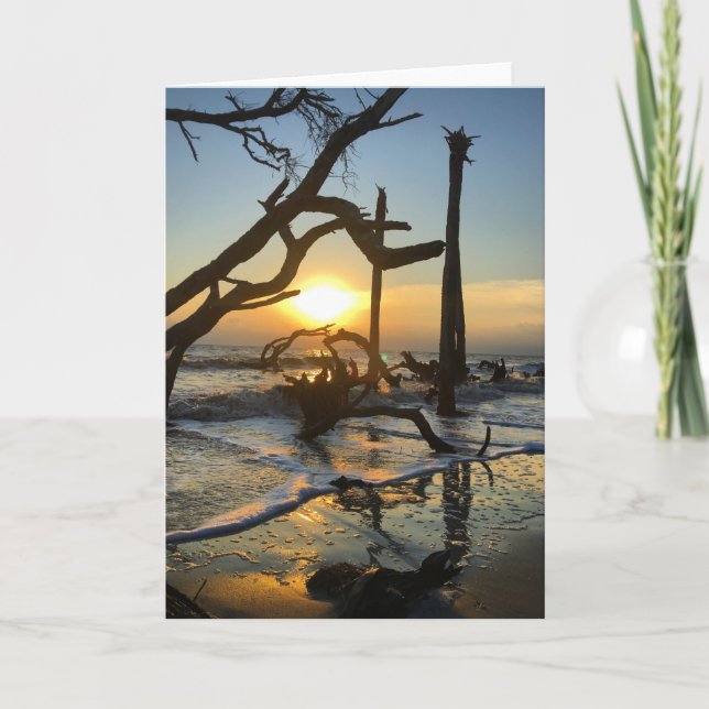 Cartão jekyll island sunrise card #4 (blank inside) (Frente)