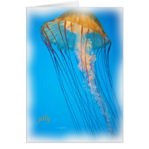 Cartão jelly_2643_Paint