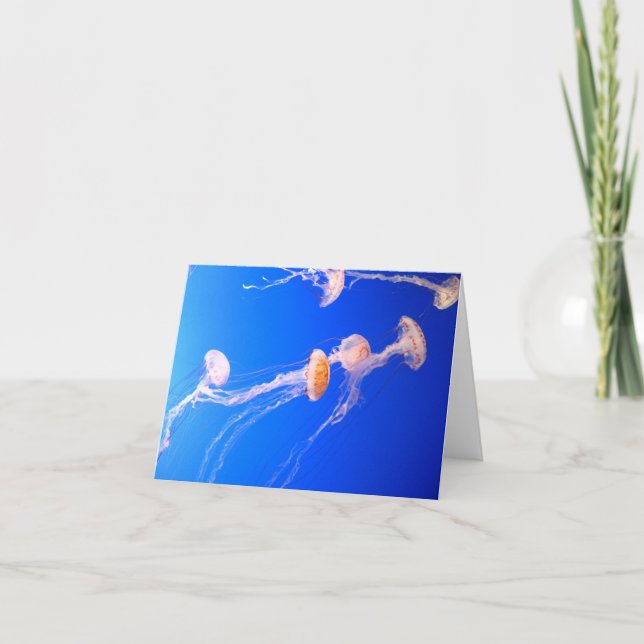 Cartão Jellyfish Note Card (Frente)