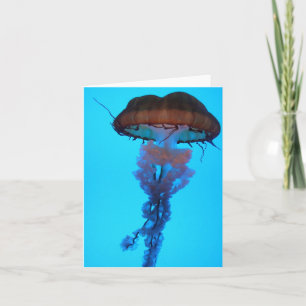 Cartão Jellyfish Notecard