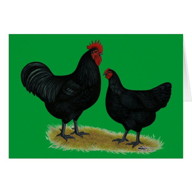 Cartão Jersey Giant Chickens (Frente horizontal)