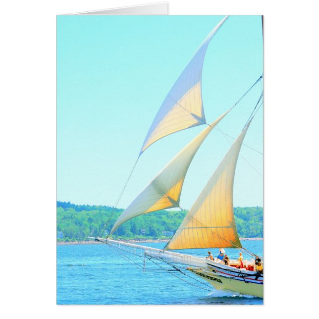 Cartão Jibs aflorando (Frente)