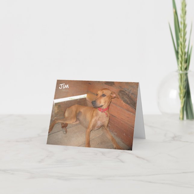 Cartão Jim:  Runs and jumps, refuses to be contained! (Frente)