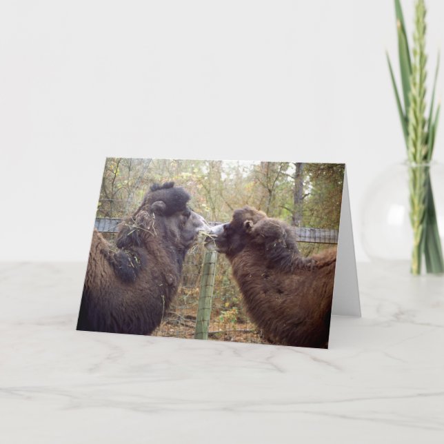 Cartão Jingle Baba e Google Mama (Frente)