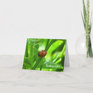 Cartão Joana - Pensando em Você