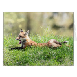 Cartão Jogo do Fox vermelho