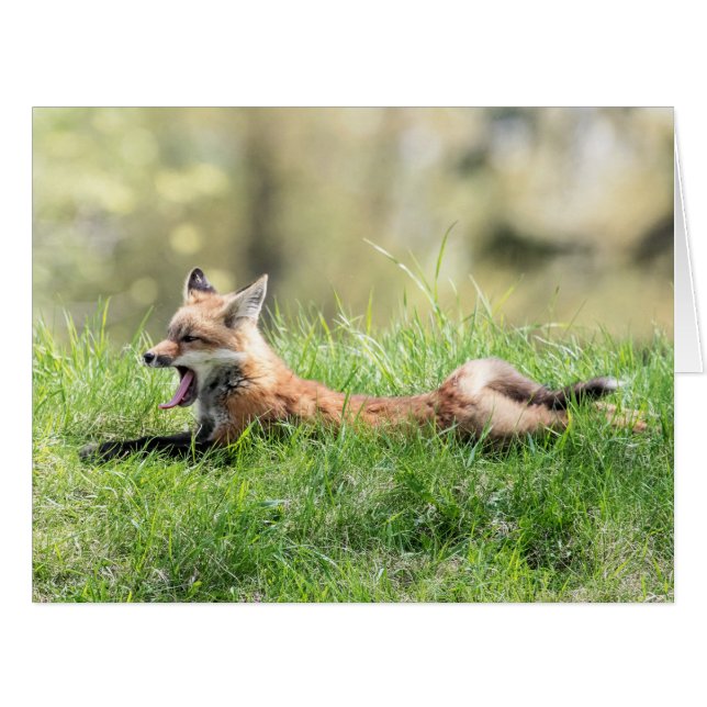 Cartão Jogo do Fox vermelho (Frente horizontal)