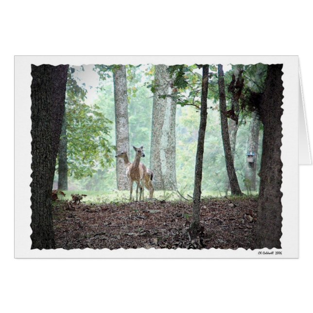 Cartão Jogo nas madeiras (Frente Horizontal)