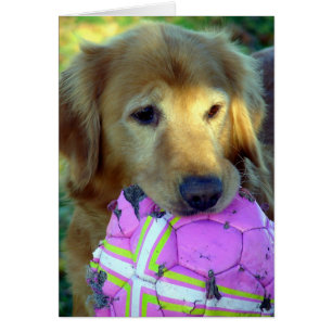 Cartão Jogue por favor comigo