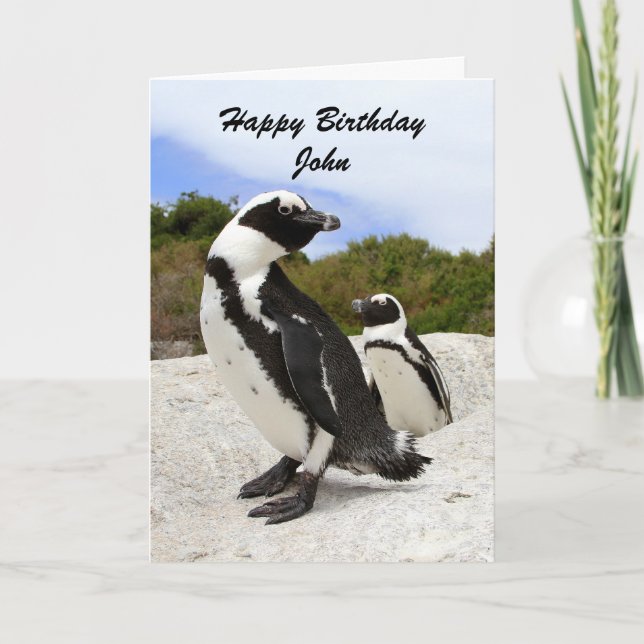 Cartão John Happy Birthday Penguins Humor Card (Frente)