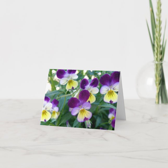 Cartão Johnny Jump-Ups Note Card (Frente)