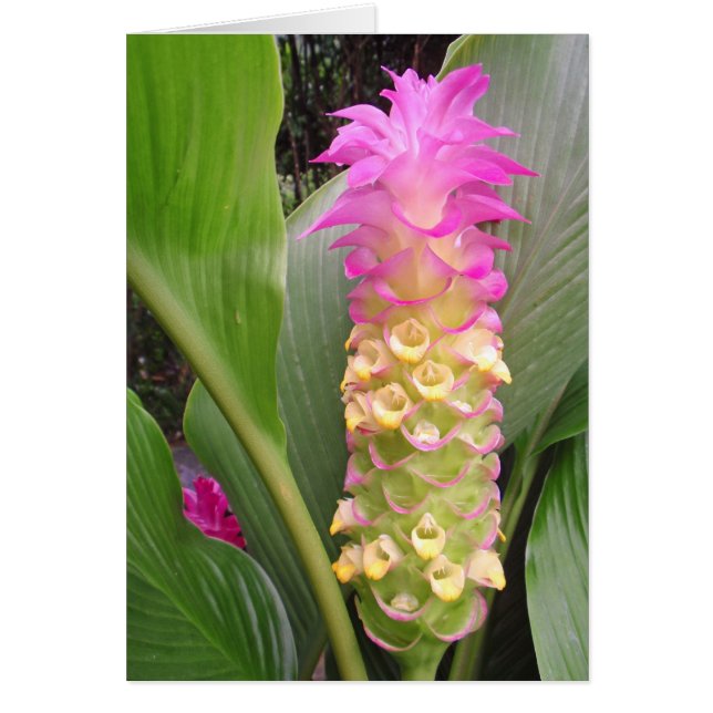 Cartão Joias da Tailândia (Frente)