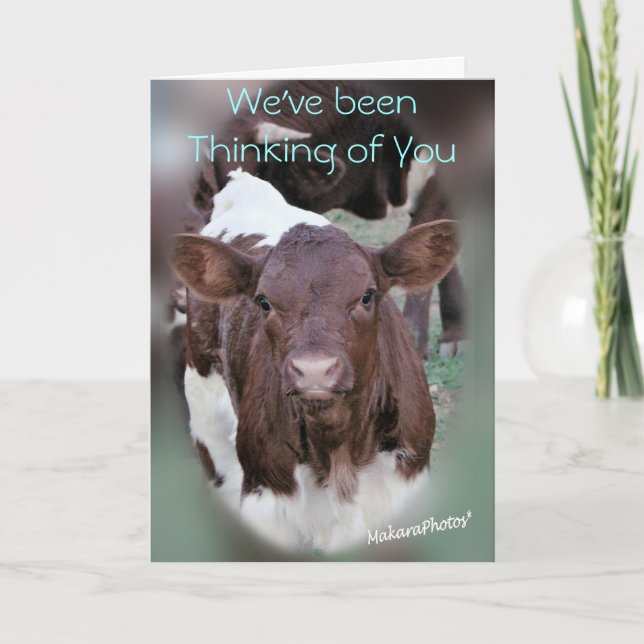 Cartão JolCrd-GetWell or Sympathy-customize (Frente)