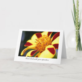 Cartão Jolly Jester Marigold - Luck with your operation