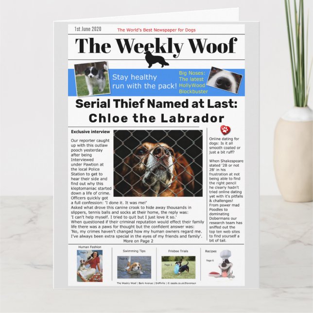 Cartão Jornal do Cão Engraçado (Frente)