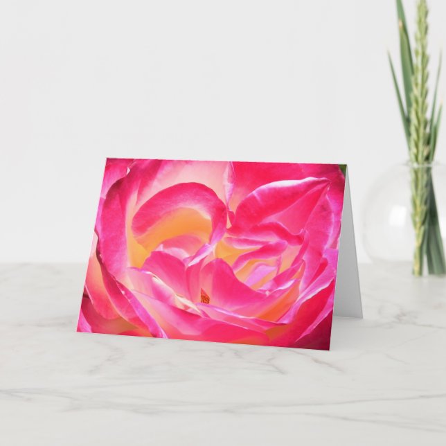 Cartão Joseph's Coat (Frente)