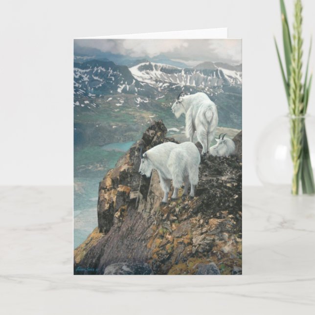 Cartão Joshua Spies Note Card (Frente)