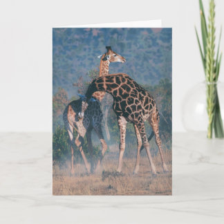 Cartão Joshua Spies Note Card