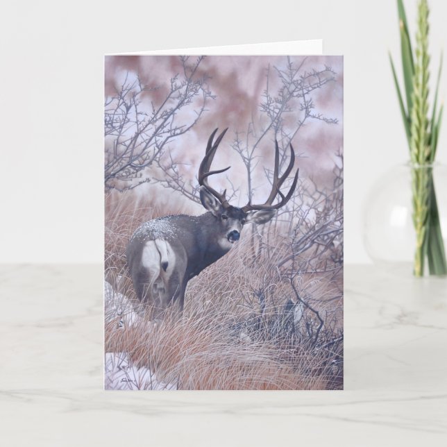 Cartão Joshua Spies Note Card (Frente)