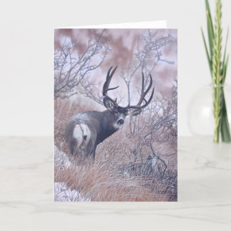 Cartão Joshua Spies Note Card