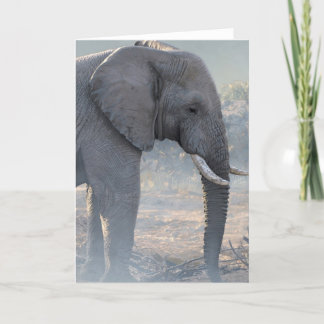 Cartão Joshua Spies Note Card