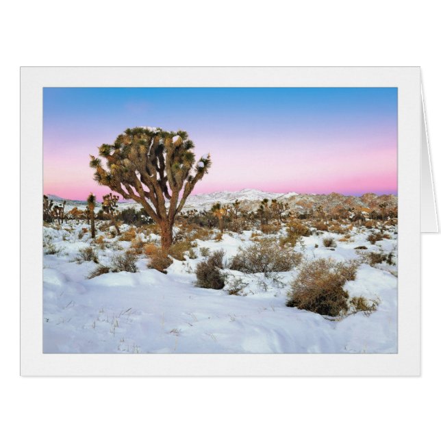 Cartão "Joshua Tree In Snow" (Frente horizontal)
