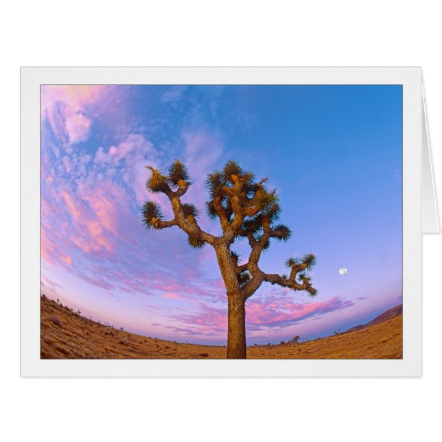 Cartão Joshua Tree Swirl (Frente horizontal)