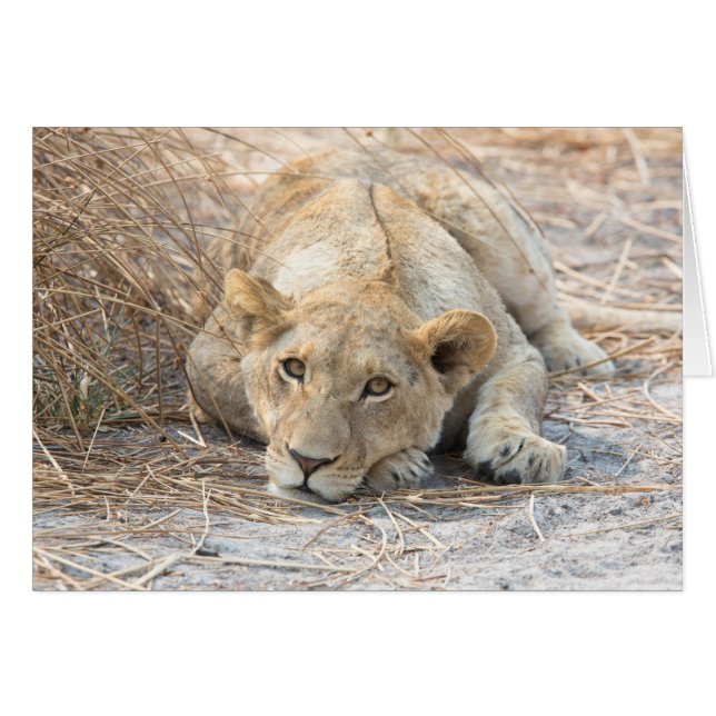 Cartão Jovem (Frente horizontal)