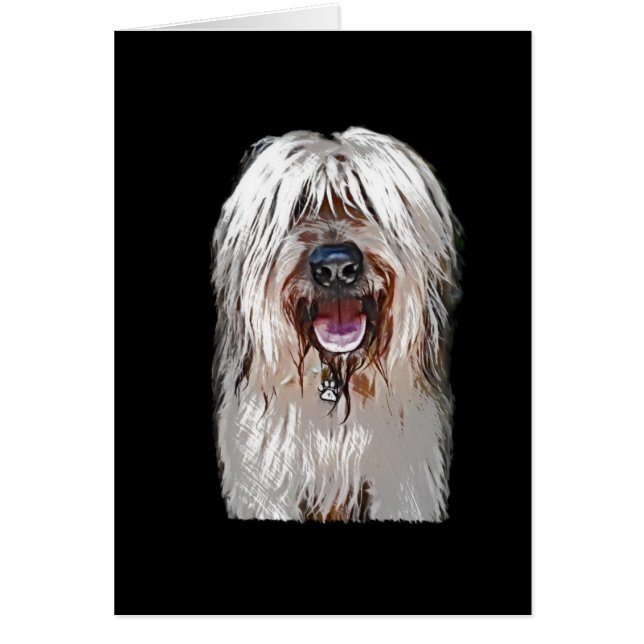 Cartão Jovem corça de sorriso Briard (Frente)