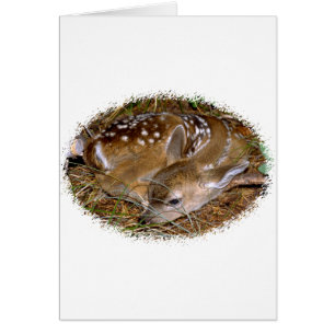 Cartão Jovem corça dos cervos de Whitetail