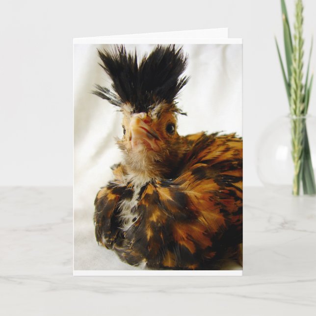 Cartão Jovem Polonês (Frente)