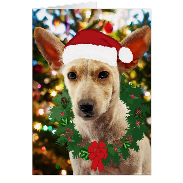 Cartão Joy para o Puppy (Frente)