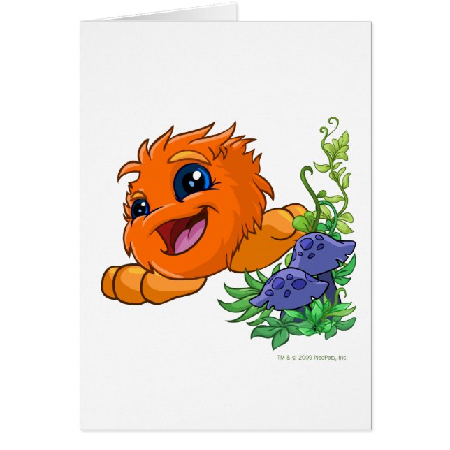 Cartão JubJub alaranjado feliz na central de Neopia (Frente)