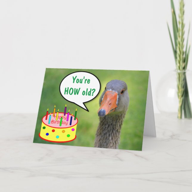 Cartão Judgmental Goose Funny Birthday (Frente)