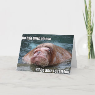 Cartão Judgy Walrus greeting card