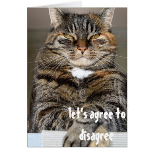 Cartão Julgmental Irritado Cat Engraçado Concorda em Disc
