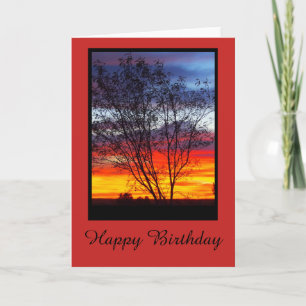 Cartão Julia Creek sunset silhouette blank birthday card