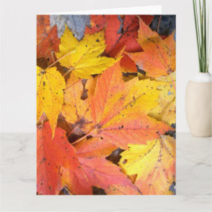 Cartão Jumbo Greeting Card - Maple Leaves