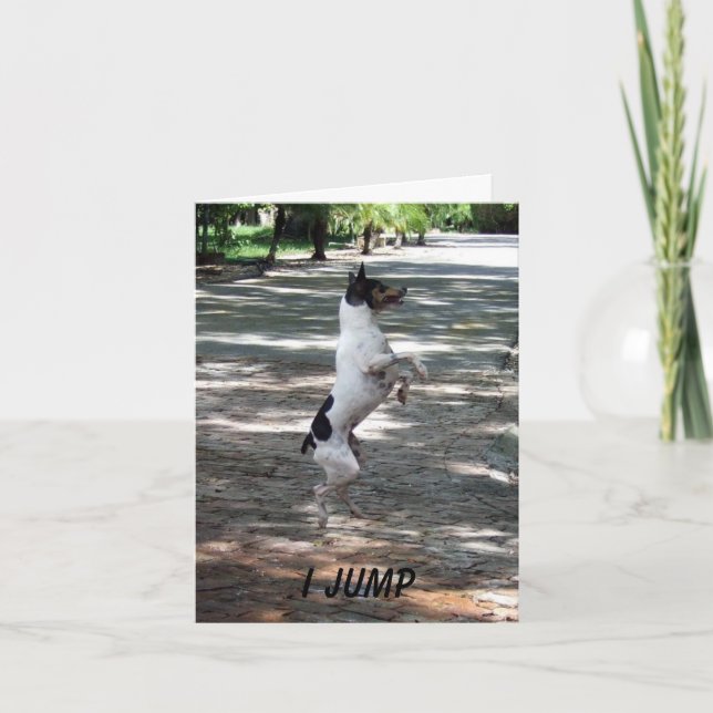 Cartão Jump For Joy (Frente)