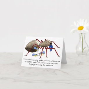 Cartão Jumping Spider Mother's Day Card