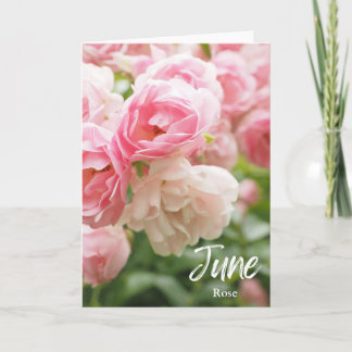 Cartão June Pink Rose Birth Mês Flor Aniversário