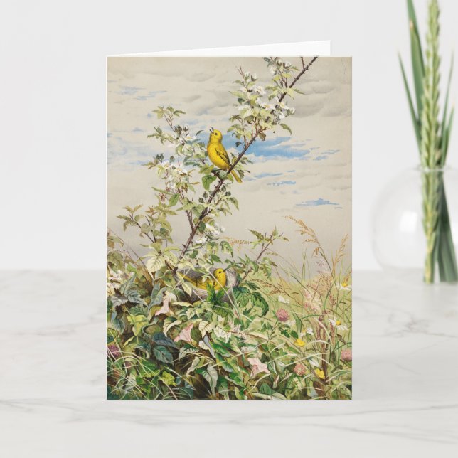 Cartão Junho | Fidelia Bridges (Frente)