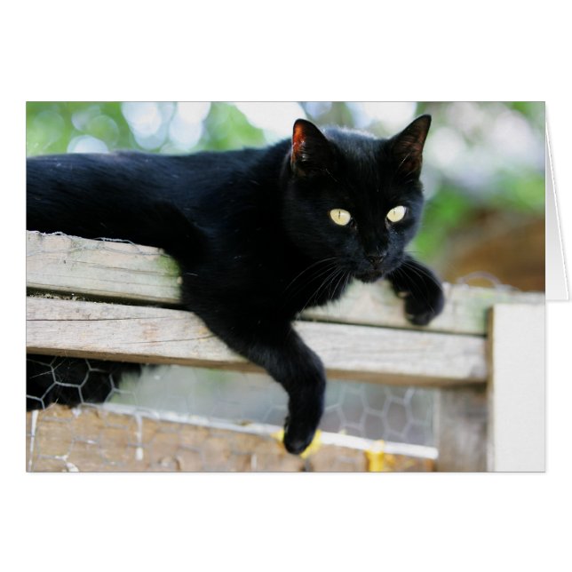 Cartão Júnior (Frente Horizontal)