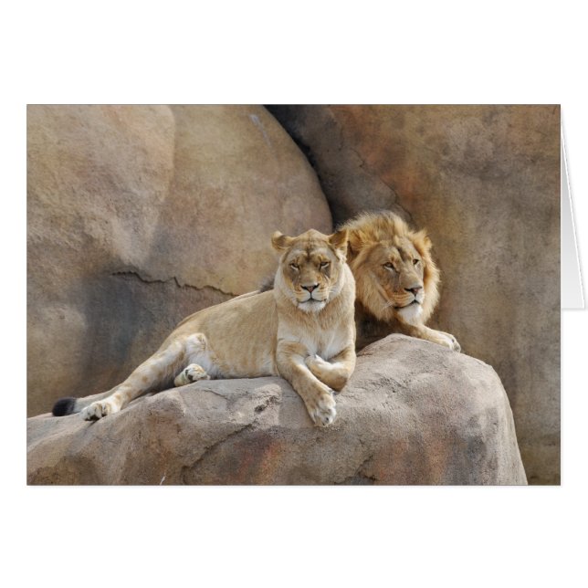 Cartão Junto (Frente Horizontal)